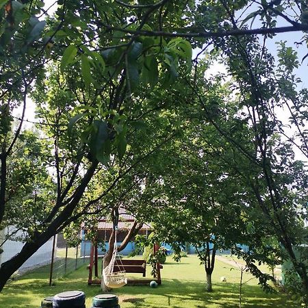 Casa Andrei A Otel Corbu  Dış mekan fotoğraf